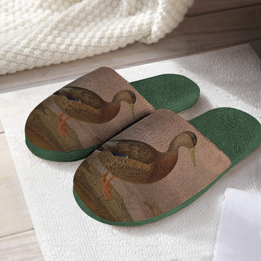 Duck and Cover Shop Suede Slippers - DAC1